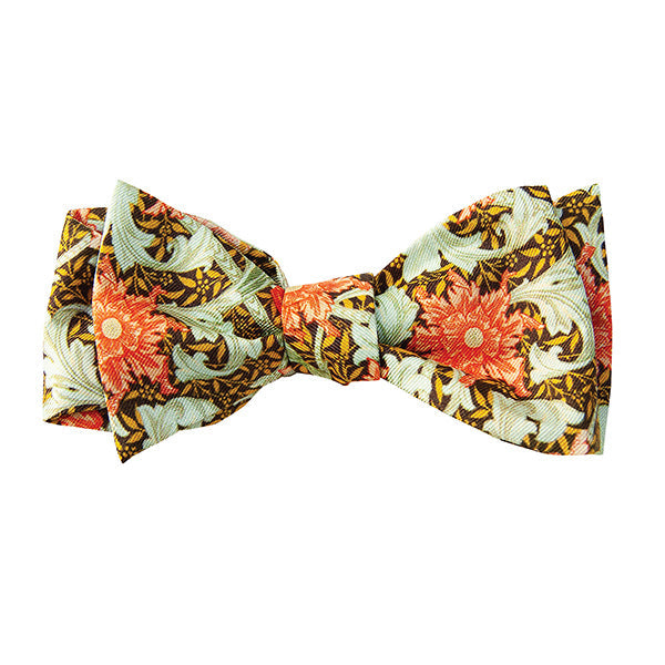 Morris Single Stem Coral Bow Tie