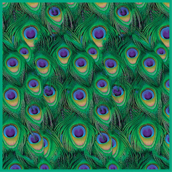 Peacock Feathers Pocket Square Flat